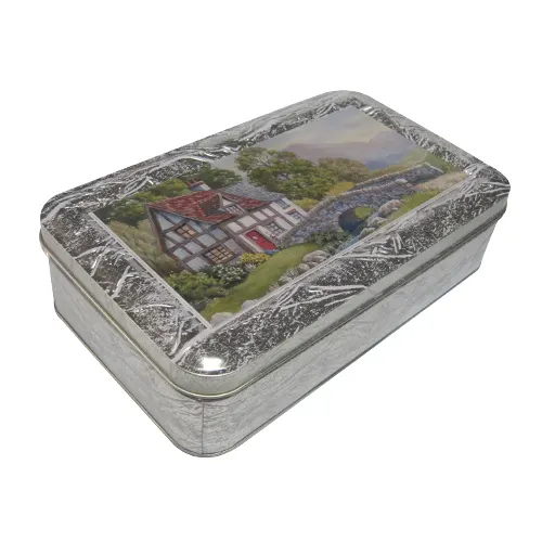 Silver Tin