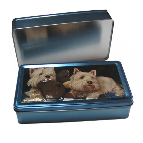 Rectangular Tin 240x135x55mm
